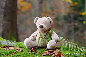 幽默笑话：职场上的搞笑段子图片