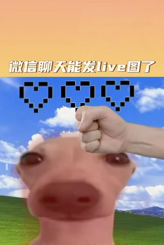 微信支持发Live图，社交分享直接开挂！