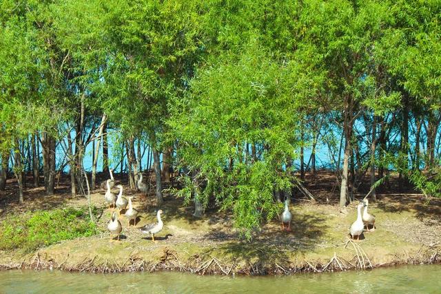 【黄河口生态旅游区】抓住假期的小尾巴，邂逅自然多彩魅力