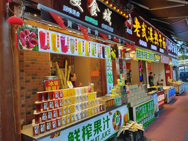 鄂渝行第七天：宜昌到武汉.长江大桥.长江轮渡