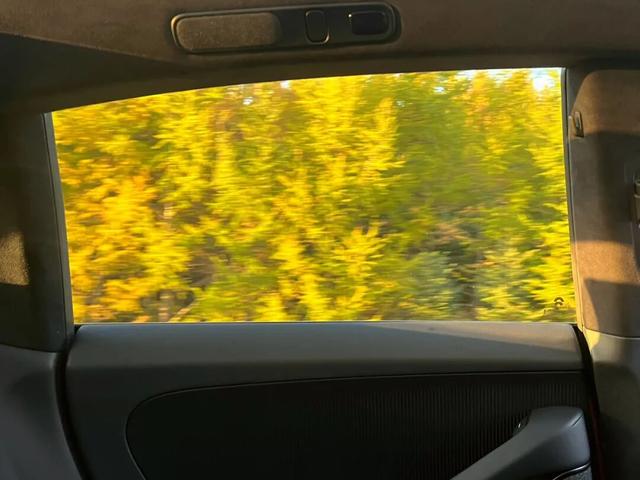 秋日自驾的神！京圈2h可达的皇家后花园，唯一缺点是“花期”太短