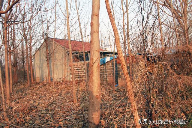 这一次外出闲游感慨颇多