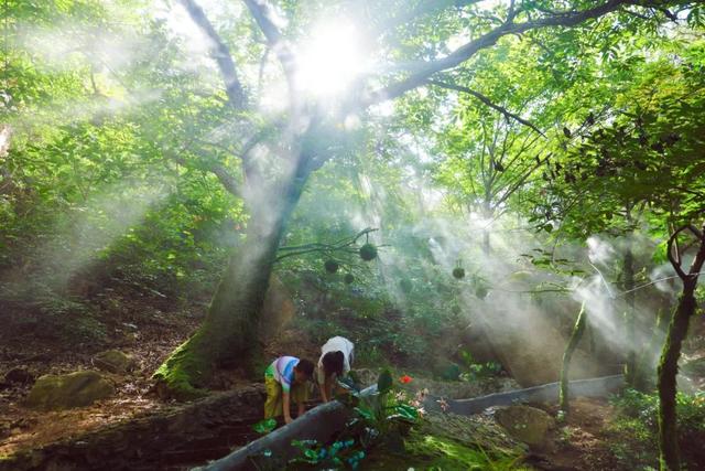 日照这里有个“天然能量场”！位置在……