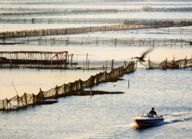 总要去一趟阳澄湖吧