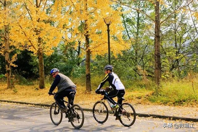 “骑”遇惊喜，快来成都蒲江“醉氧”绿道，开启你的追风之旅！