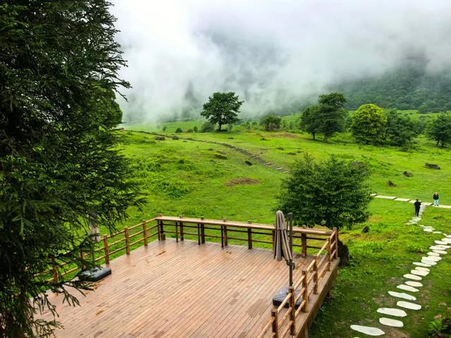 绿意+山林+森呼吸，在黑竹沟景区，慢享夏日山林趣～