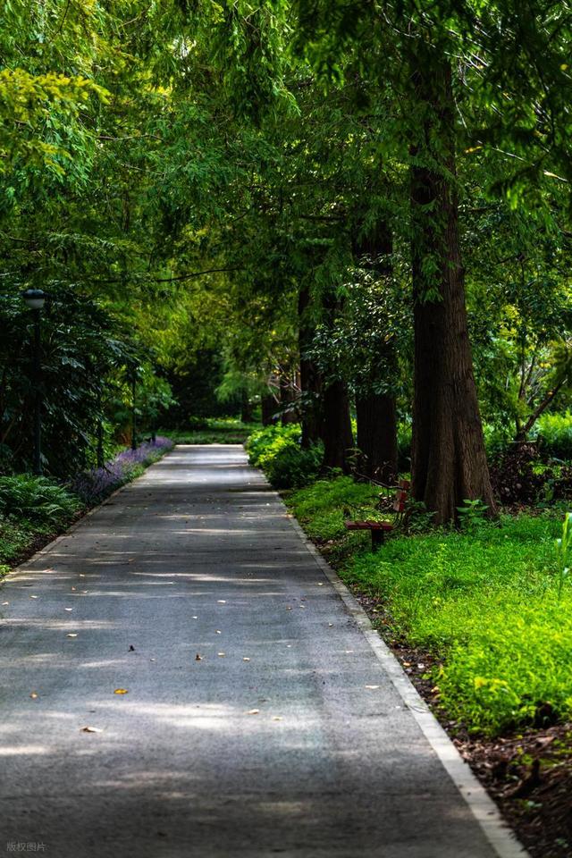 上海值得去的6个公园推荐！全部免费，好看又好玩！你都去过几个