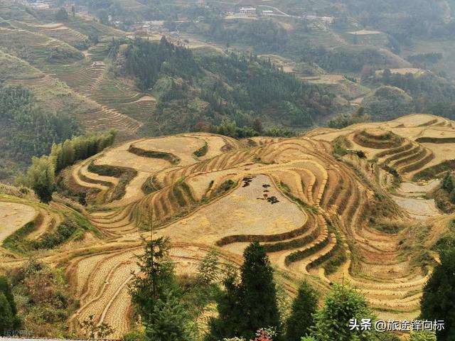 四海无闲田，一首《悯农》，有着这样的田园旅行启示录