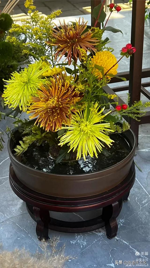 李友珍||岁月倏然·菊韵飘香——紫竹院公园的菊展