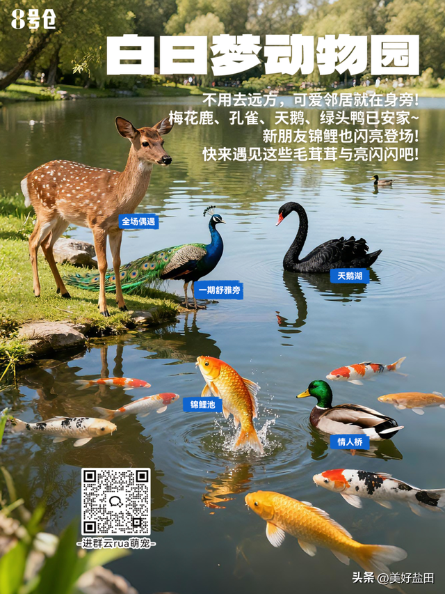 梅沙“隐藏副本”上线，这份2.0通关攻略请收好