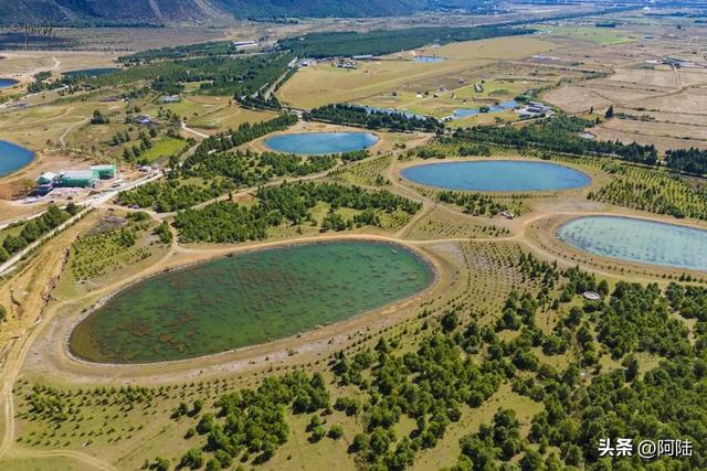 玉龙雪山前有很多野生婚纱基地，村民收费35元一场，露营却免费