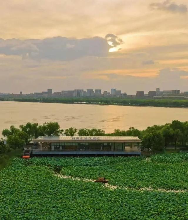 上海人的“宝藏后花园”全面升级啦！水上森林玩出新花样，这份攻略请收好！