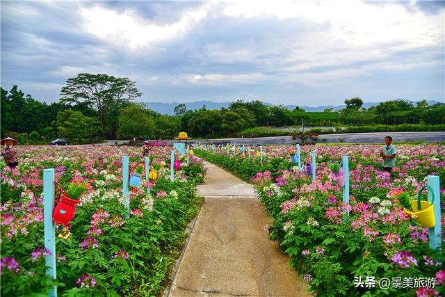 国庆邀约佛山卡玛花世界：在诗词花海中寻觅秋日情绪价值