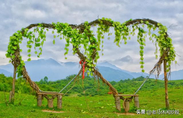 熊猫坪草甸——云端上的诗意秘境