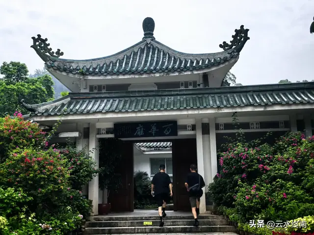 一个五A级植物园，到底藏着哪些值得看的地方，这是最实在的攻略