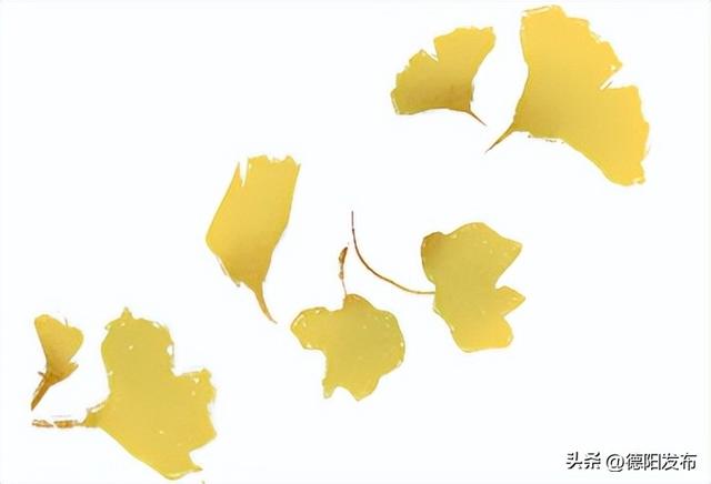 德阳冬季的“顶流”来了！错过等一年……