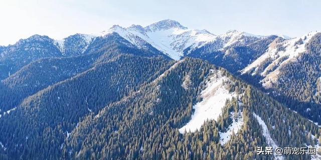 天山北坡遇奇景，零下雪景如仙境，我被这美景彻底震撼了