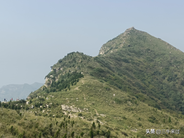 无为在歧路，莱芜霹雳尖