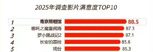 《南京照相馆》做对了什么