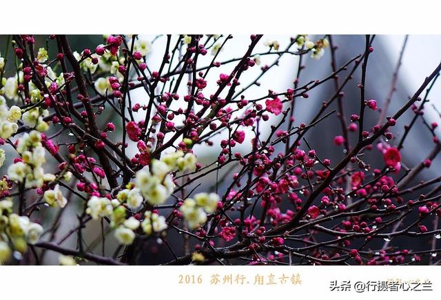 江南古镇行游影记（31）—甪直古镇（六）