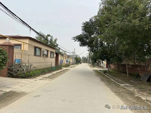 冠县乡韵·桑阿镇野场村