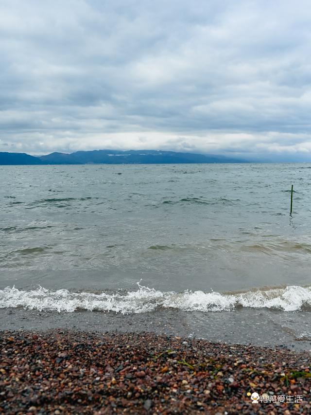 云南秘境|抚仙湖抚海湾公园，邂逅花与海的浪漫