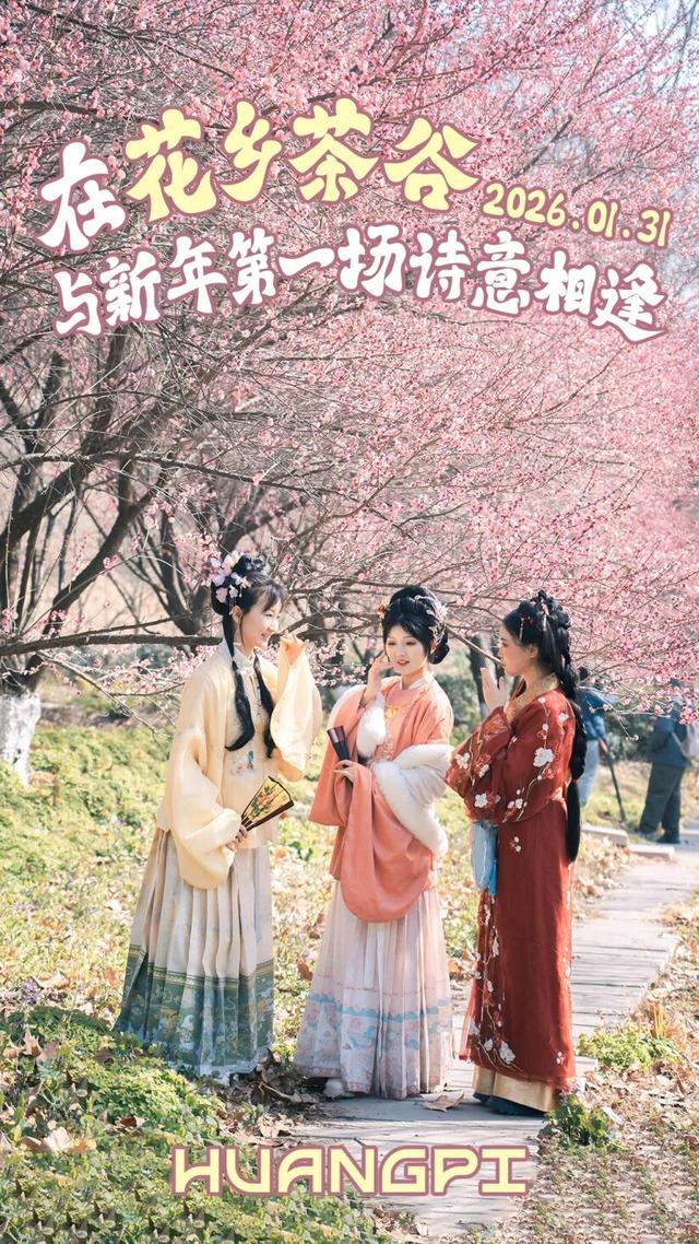 号外！十万梅花和一首诗在花乡茶谷等你！