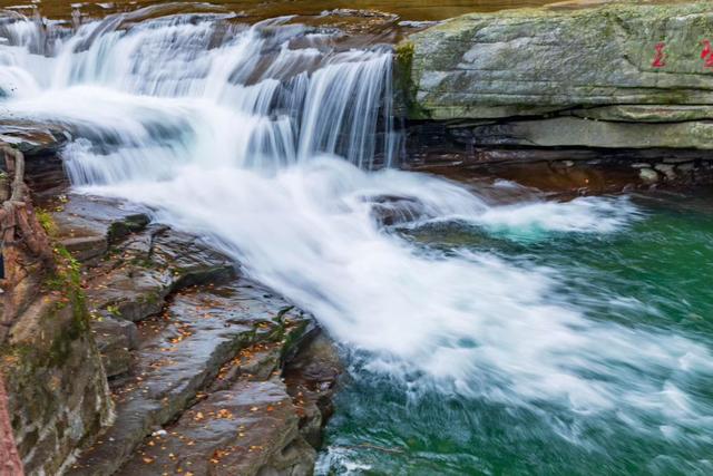 雾里的龙头山，藏着草木与溪流的私语