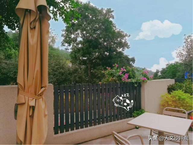 周末，来沙坪坝采“野味”呀~（附宝藏民宿/营地清单）