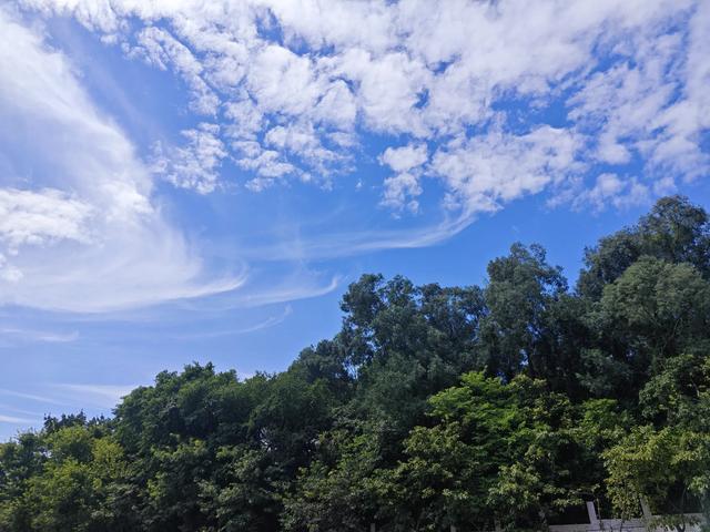 超大城市空气质量第一城，深圳的天空有多美？
