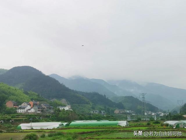 山水画中行:桐庐二日闲散游