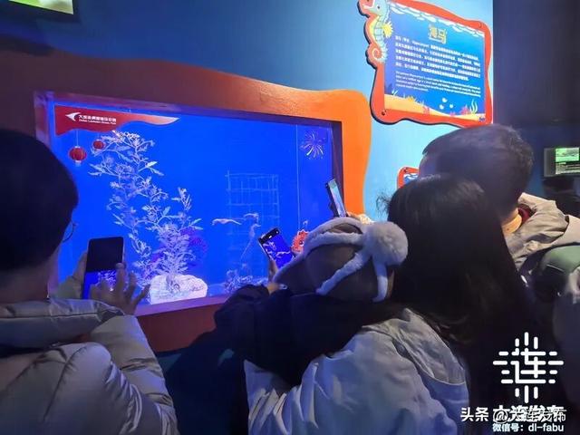 今天，在大连闹元宵！