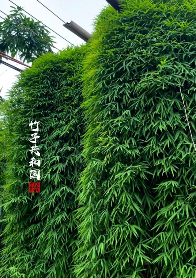 不要再去看黄果树瀑布了！