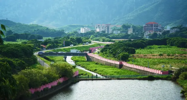 从渔港到田园！大亚湾这些绝美场景被镜头定格，宜居感拉满