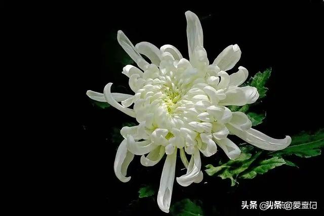 今年寒衣节不一般，牢记：1不早，2不去，3要吃，老辈规矩要懂