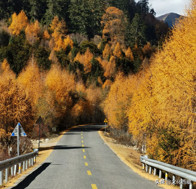 治愈到犯规！西藏这座小城5种 “会呼吸” 的颜色，抚平所有不安焦虑