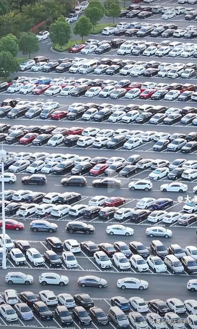 800万人游荆州！游客深情告白：冲这5大理由下次一定再来！