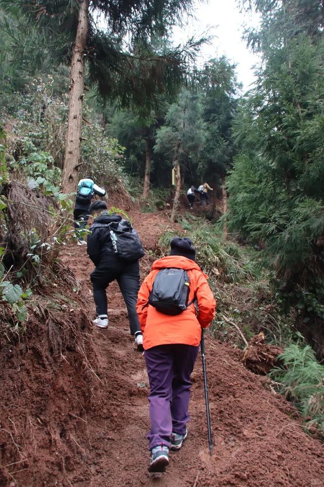 成都2h的新徒步路线，野趣十足、新手友好，免门票免停车费快冲！