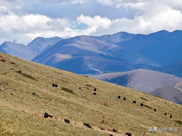 6天骑行1600公里 三个人三台无极CU巡航，摩旅体验阿坝的绝美秋季