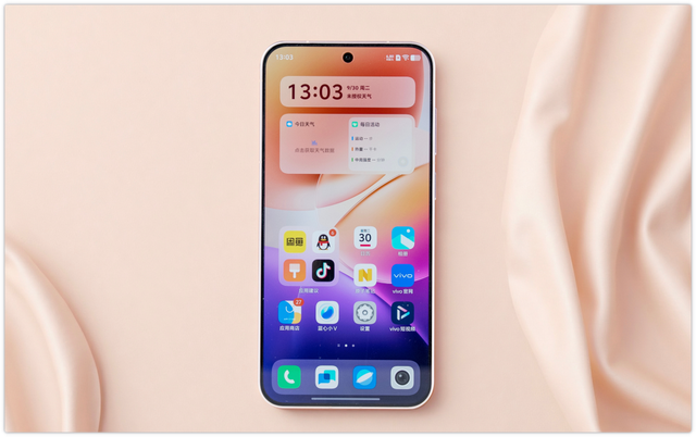 依旧是Pro mini，vivo X300摊牌了！网友：能否4299起步才是关键