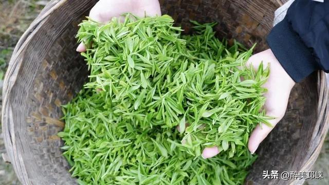 一步一景皆诗意！央视《山水间的家》走进邛崃夹关