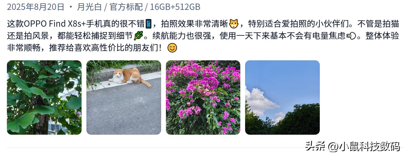 手机信号强的是哪款_OPPO Find X8s+ 信号表现 荣耀 Magic7 Pro 信号优化 华为 Pura 80 Pro 信号稳定