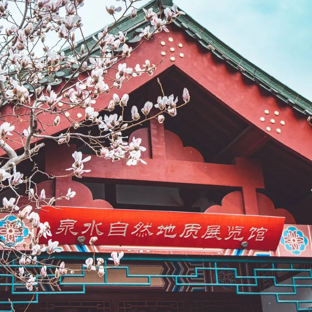 30处沉浸式泉水生活体验游（下篇），品茶吃瓜，体验老济南人的生活！