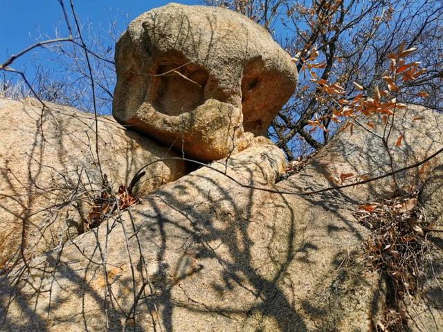 天中盆景！泌阳小黄山的奇石与原生态美景