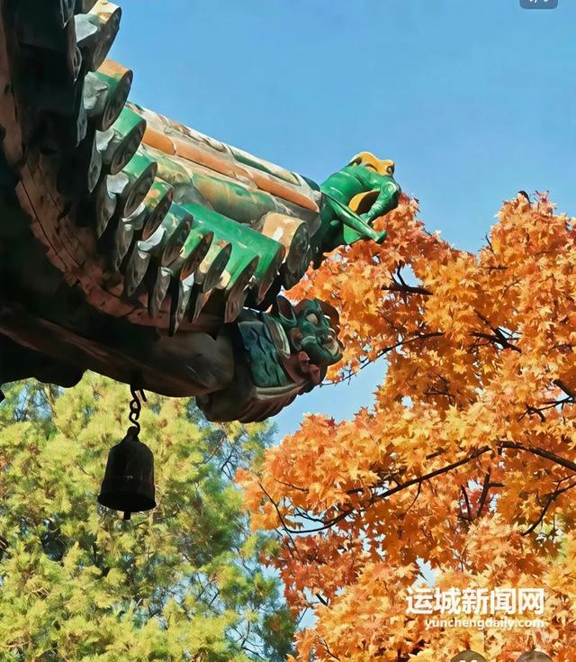 运城秋日的N种浪漫