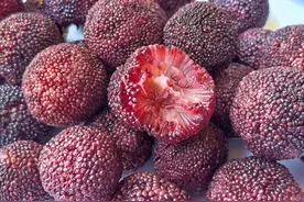 杨梅用盐和清水洗，等于吃虫卵 ，教你正确做法，虫卵脏东西跑光光图片