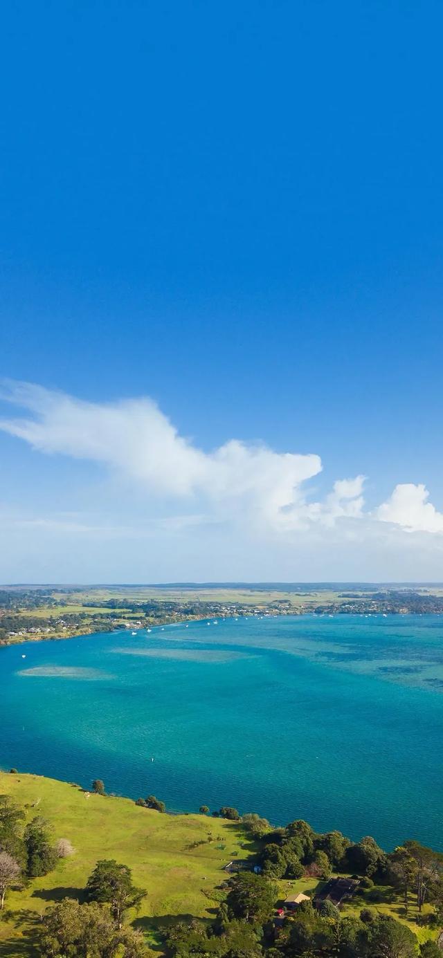 壁纸｜小事藏欢，日子满甜