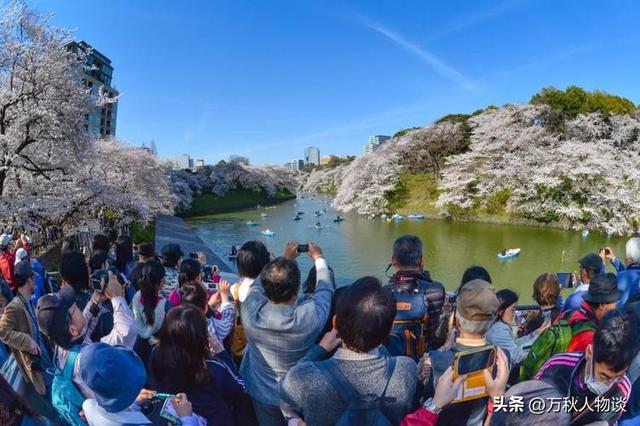 大批中国人依然去日本旅游！日媒追问时，他们的回答实在太扎心了