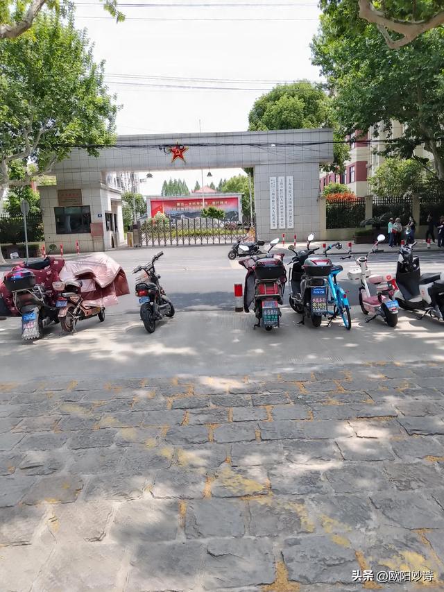 我和老公去上海“方塔公园”玩,没想到路上又捡了“醉白池公园”