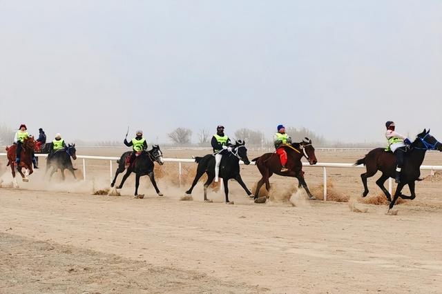 【兵地融合】竞拍、赛马、肉王争霸赛……冬宰节激情开幕